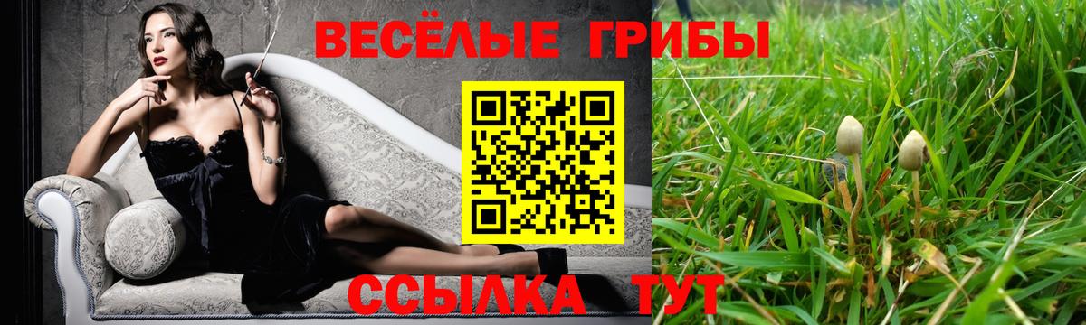 Галлюциногенные грибы мухоморы Лыткарино