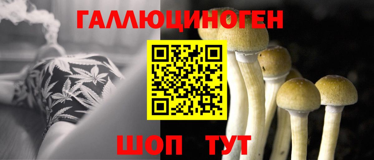 Лыткарино  Псилоцибиновые грибы Magic Shrooms  Вход с VPN 